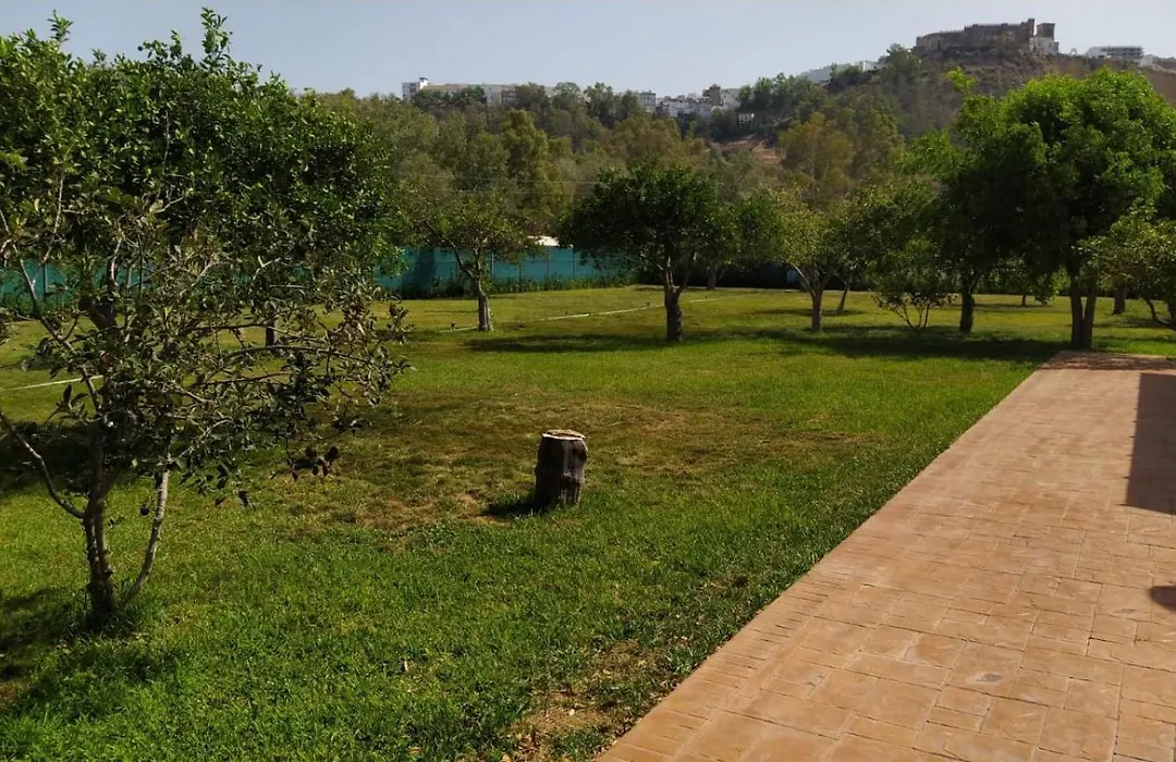 Villa Los Llanos-1